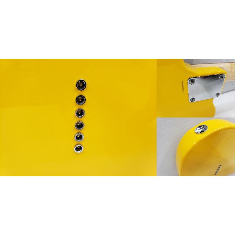 GrassRoots グラスルーツ G-TE-50R テレキャスター エレキギター