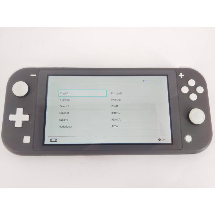 Nintendo Switch Lite ニンテンドースイッチライト 本体 グレー 動作