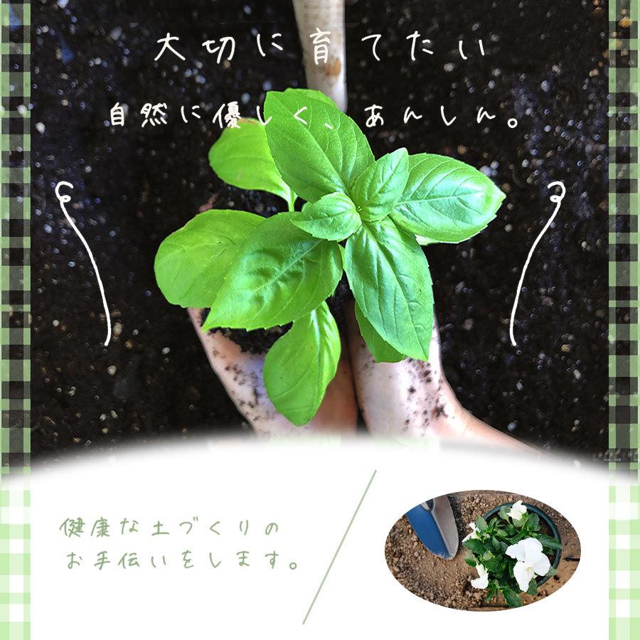 土壌改良炭素 炭の花 化学肥料に頼らない 木炭バーク 自然にまかせた園芸用土 手間いらず 送料無料 家庭菜園 草花 野菜 庭木 畑などにok Hinomaru Sumihana スライブストア 通販 Yahoo ショッピング