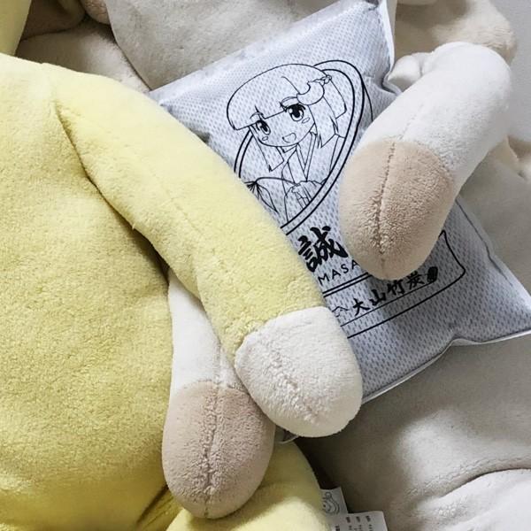 除湿脱臭 国産竹炭 室内用 調湿竹炭  誠守  中袋 [17×25cm]x1袋 大山竹炭 鳥取県認定グリーン商品 「誠守」 |  | 16