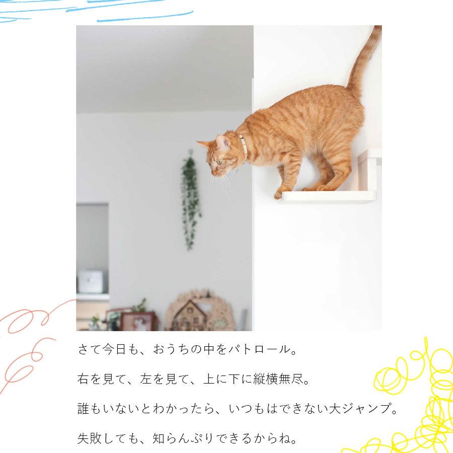 壁付け棚板【ねこボックス】 単独用 大建工業 DAIKEN ねこの運動不足に役立つ ステップ棚 ボックス棚板・ブラケット金具セット キャットウォーク｜thrive-store｜04