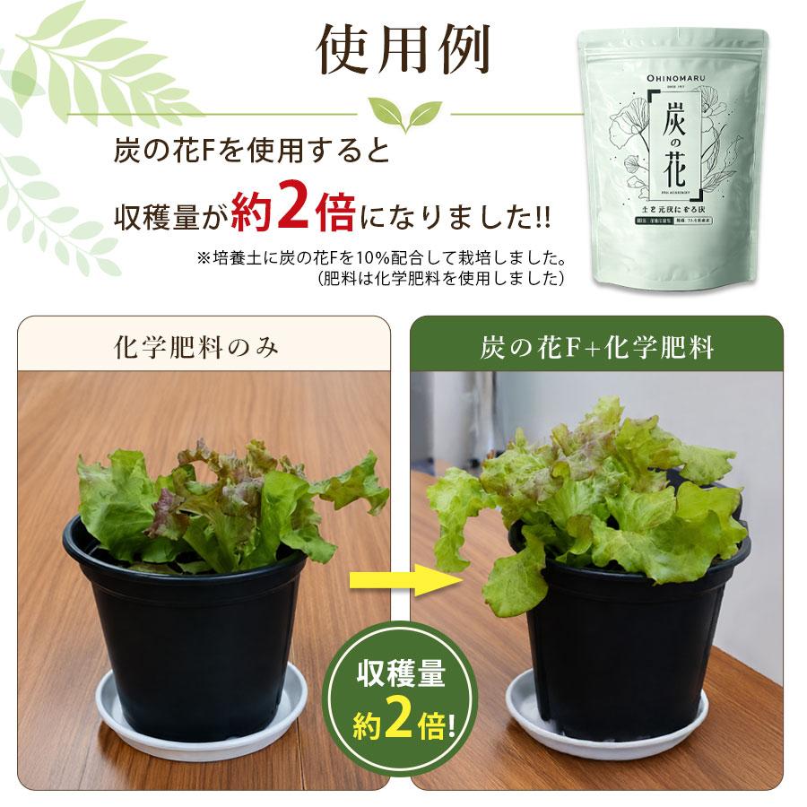土壌改良材 くん炭をお探しの方にも 国産 木材由来 炭 家庭菜園 プランター ガーデニング 花壇 日本製 炭の花F 1L フルボ酸 腐植配合 爆買 |  | 07