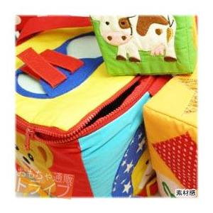 [特価70％OFF]よくばりスキルアップ SKILL BAG+8LEARNING BLOCKS |  | 02