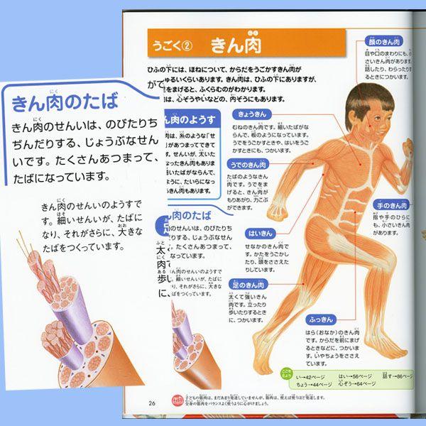 図鑑 ナチュラ ひとのからだ |  | 01