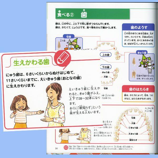 図鑑 ナチュラ ひとのからだ |  | 02