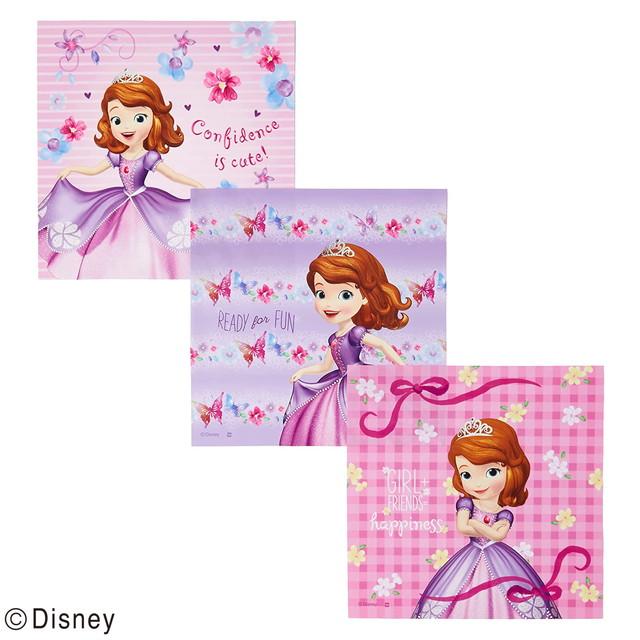 [特価50％OFF]ハンカチ 3絵柄組 ちいさなプリンセス ソフィア フェミニンガーデン メール便対応品 755305 | 