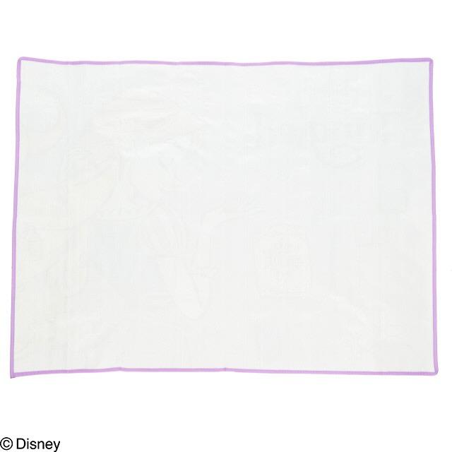 レジャーシート 90×120cm 塔の上のラプンツェル トールスカイ ネコポス対応品 901917 |  | 01