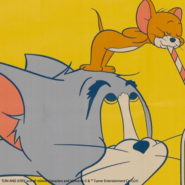 レジャーシート 90×120cm トムとジェリー ハッピーランチタイム ネコポス対応品 902068 |  | 02