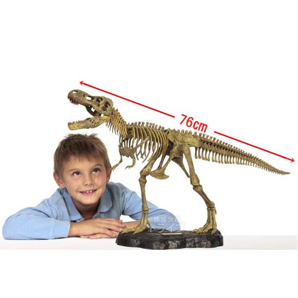 T-REX骨格組立キット ティラノサウルス・レックス CL-664K