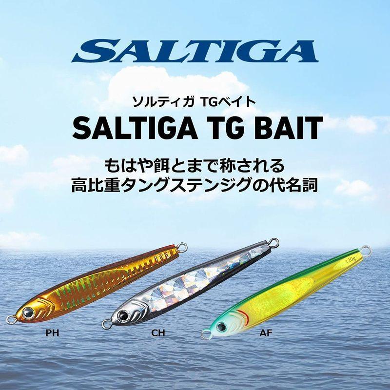 最大 Offクーポン ダイワ ソルティガ Tgベイト 80g ジギング タングステン ジグ メタルジグ Materialworldblog Com