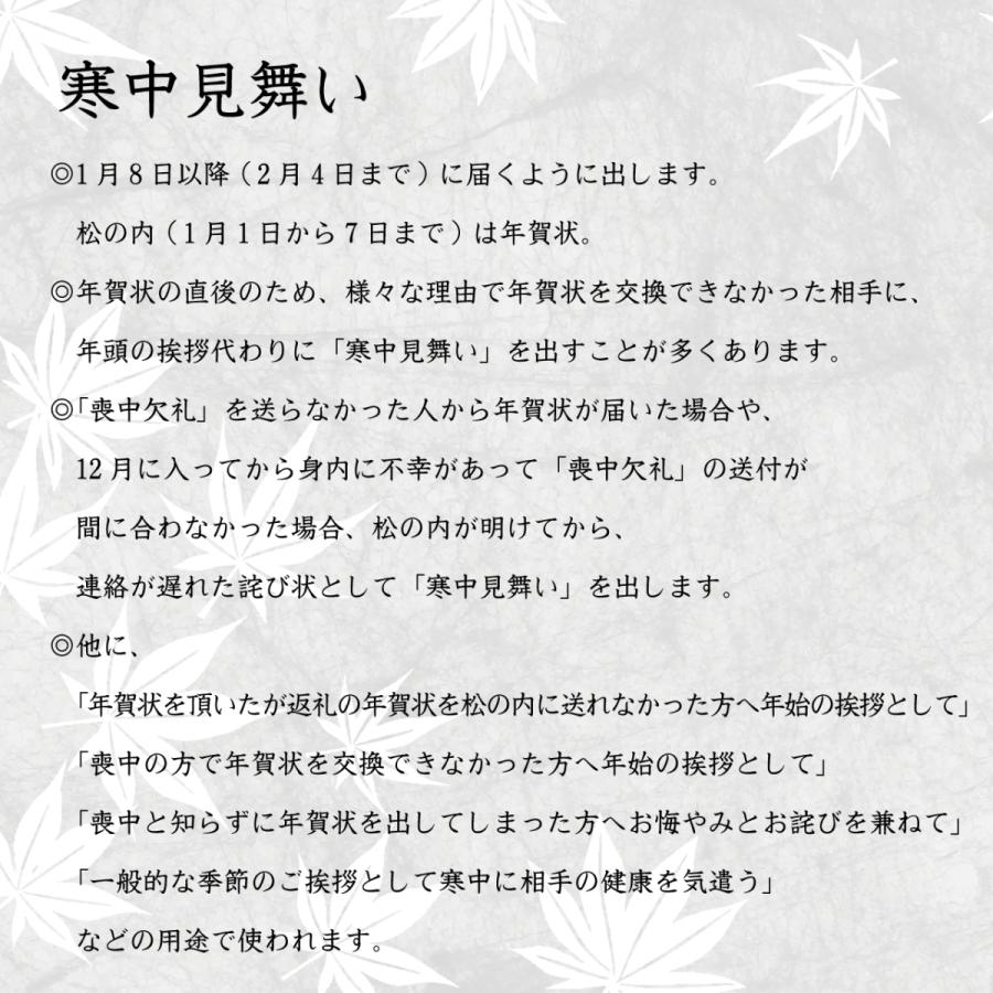 【Ti Amo】2024年 /喪中はがき・寒中見舞い作成/1枚55円より/11枚から注文可/印刷込み/年賀状｜tia-mo｜03