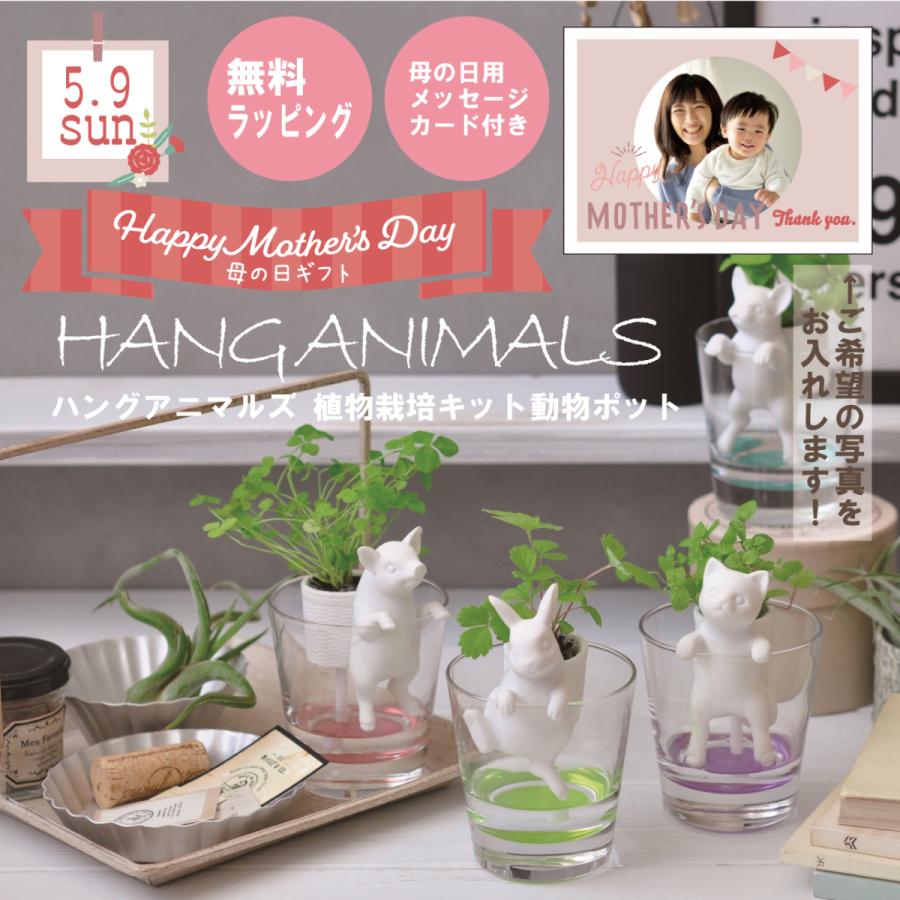 Ti Amo Hang Animals 植物栽培セット 写真入り選べるメッセージカード付き 誕生日 動物 新居祝い 母の日 21 Pre43 ティアーモ 通販 Yahoo ショッピング