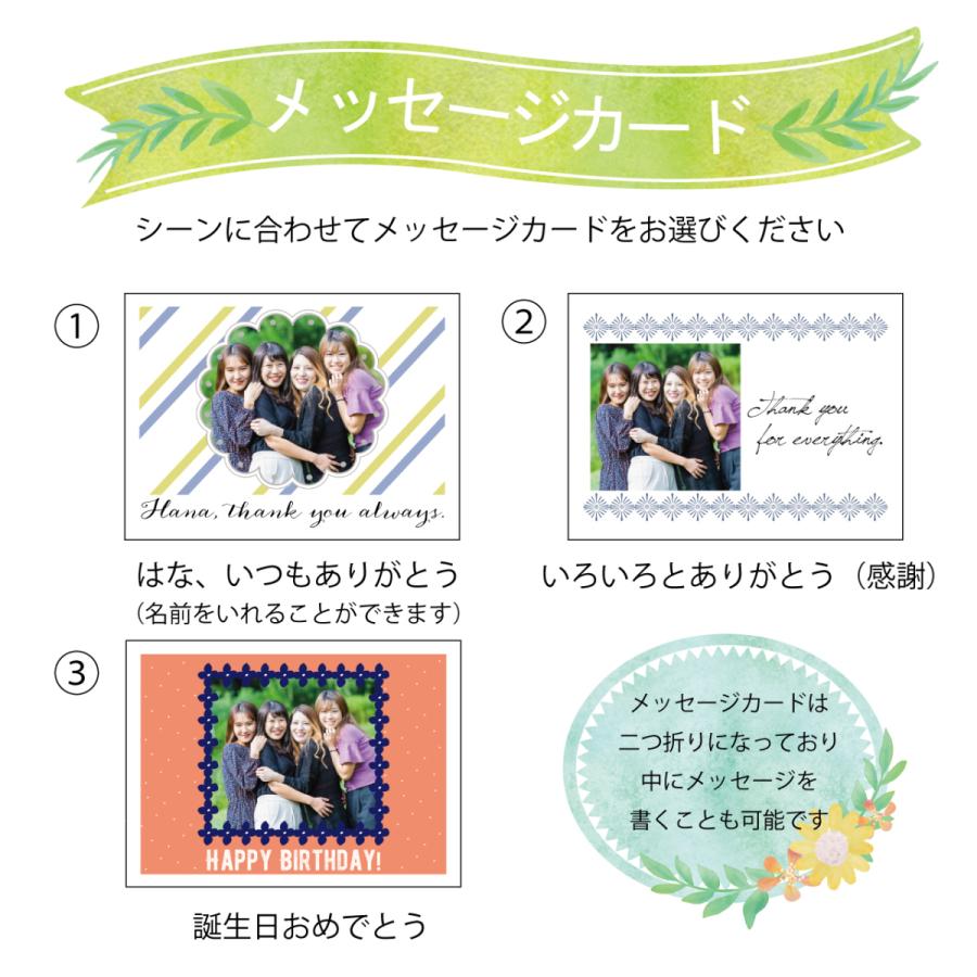 Ti Amo Hang Animals 植物栽培セット 写真入り選べるメッセージカード付き 誕生日 動物 新居祝い 母の日 21 Pre43 ティアーモ 通販 Yahoo ショッピング