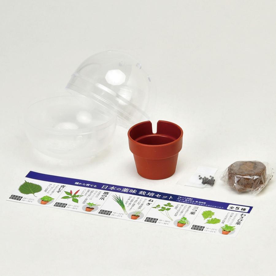 Ti Amo 育てるカプセル 日本の薬味 プチギフト ウエディング 結婚式 栽培セット わさび菜 三つ葉 ねぎ 鷹の爪 青じそ Puc012 ティアーモ 通販 Yahoo ショッピング