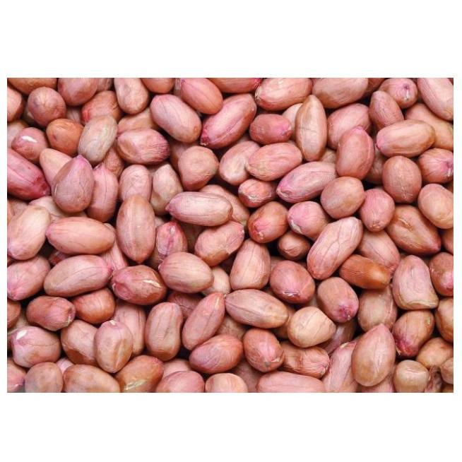 ポイント消化 試しセール 大粒花生米 1kg 落花生 中国産 大粒種 生 ピーナッツ 花生米 生タイプ 落花生の実 殻なし中華食品 B 天華中華物産店 通販 Yahoo ショッピング