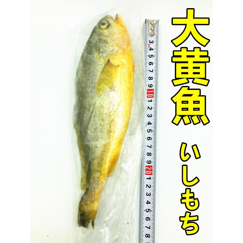 冷凍 大黄花魚 大黄魚 いしもち 黄花魚 0g 350g 魚 中華物産 ポイント消化 Hhy0 天華中華物産店 通販 Yahoo ショッピング