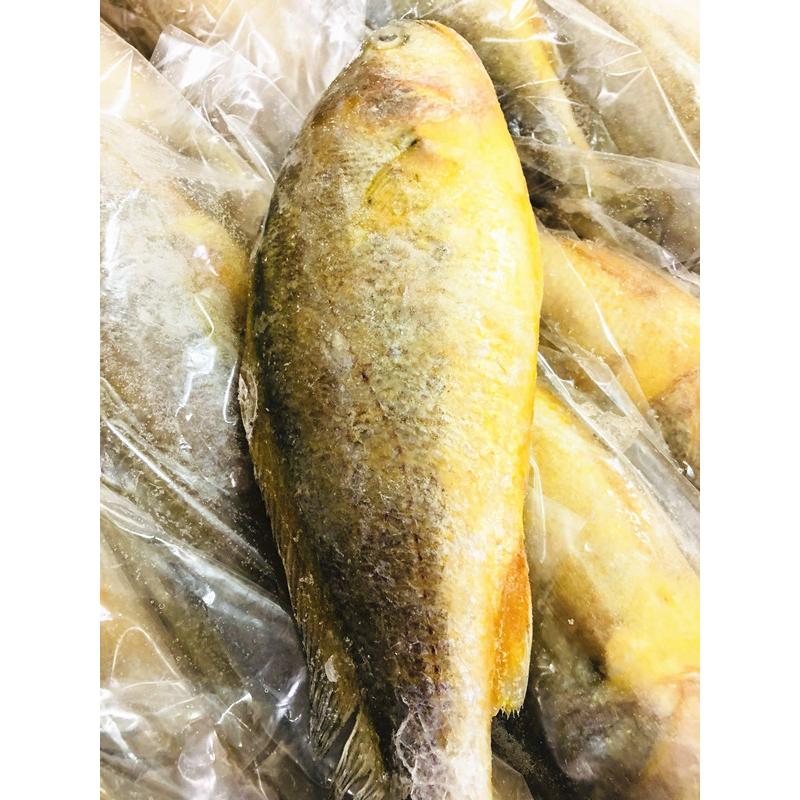 売買 冷凍 大黄魚 いしもち ポイント消化 魚 中華物産 黄花魚 200g-350g 魚、鮮魚