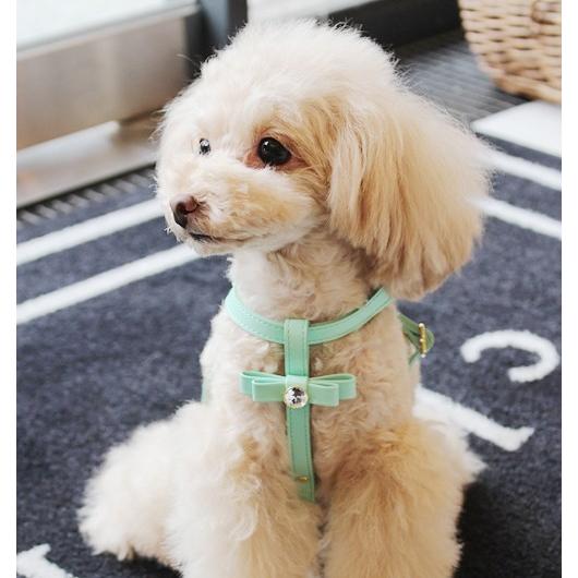チーク Chi Ku Cherryハーネス M 小型犬 セレブ ハーネス M Tiara Pets Japan 通販 Yahoo ショッピング