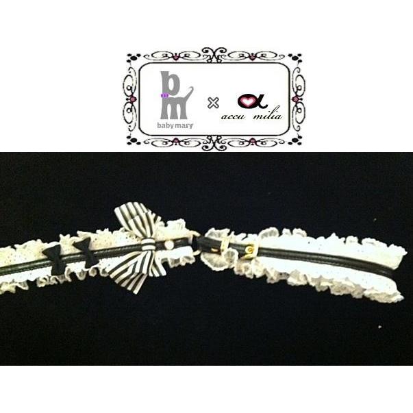 babymary × アキュミリア accu milia コラボ コットンイライザ リード 小型犬 セレブ リード 送料無料
