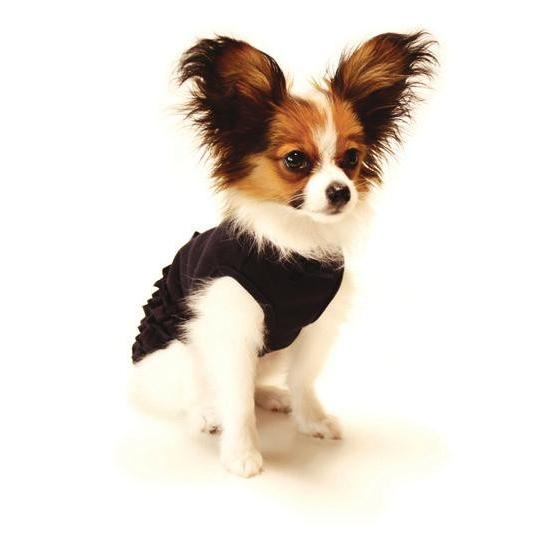 ミムット mimtto Ines S M 小型犬 ウエア ワンピース ドレス 犬