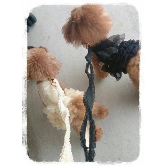 ミントタン minttan オーガンジーフリル カラー&リード セット 小型犬