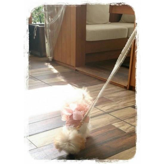 ミントタン minttan オーガンジーフリル カラー&リード セット 小型犬