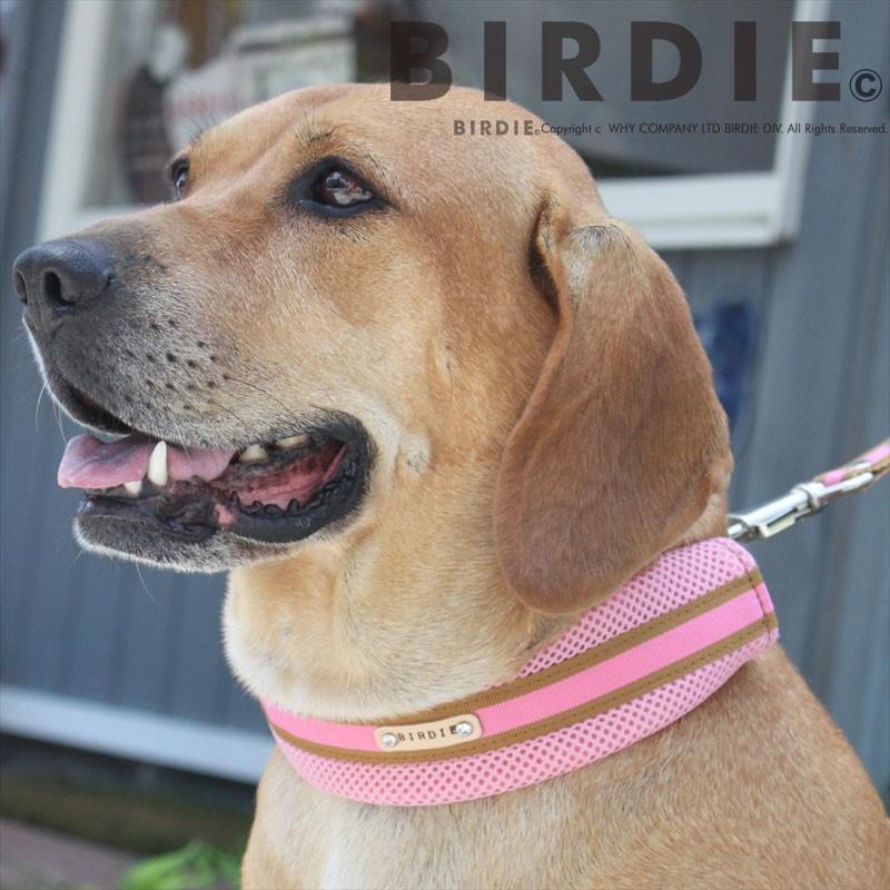 バーディ BIRDIE ラッセルクッションワンタッチカラー S 小型犬・犬用 ペット 首輪 カラー カジュアル｜tiarapetsjapan｜05