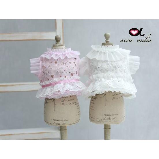 アキュミリア accu milia New レースフリル ジレ19 XS SS S 犬服 小型犬 セレブ トップス ベスト 送料無料