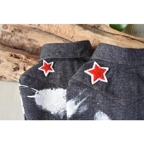 プエルト PUERTO ペイントダンガリーシャツ BK 黒 サイズ3h 小型犬 犬服 トップス シャツ セレブ 送料無料の画像