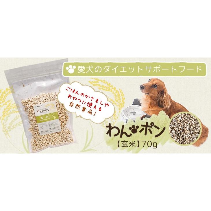 ビッグウッド Bigwood わんポン 玄米70g 3袋セット 犬用 おやつ トッピング ダイエット ベースフード 662 Tiara Pets Japan 通販 Yahoo ショッピング