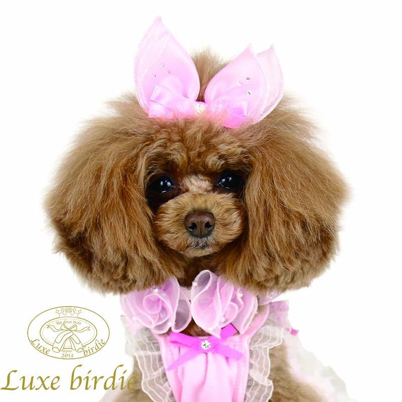 リュクスバーディ Luxe birdie ラパンバレッタ 小型犬 アクセサリー