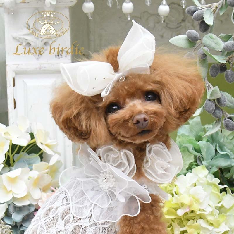 リュクスバーディ Luxe birdie ラパンバレッタ 小型犬 アクセサリー