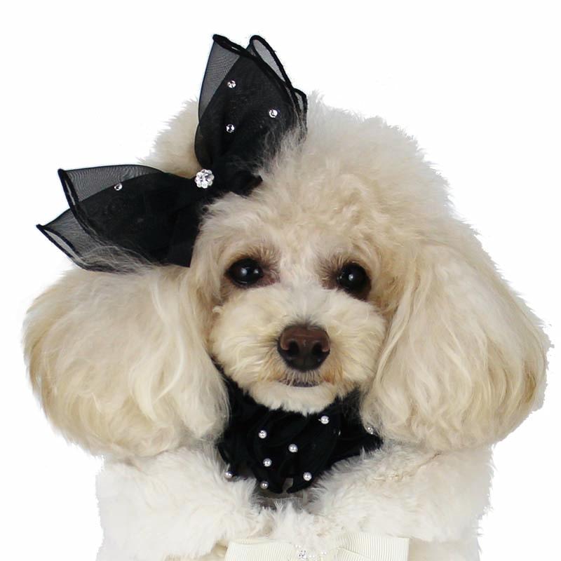 リュクスバーディ Luxe birdie ラパンバレッタ 小型犬 アクセサリー