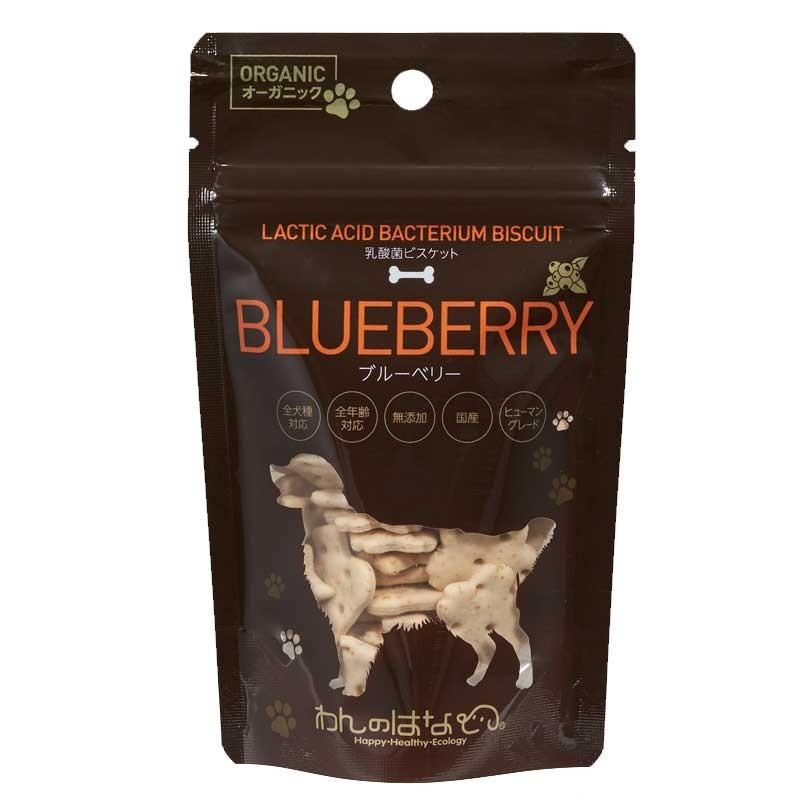 日本製 わんのはな 乳酸菌ビスケットブルーベリー 90g 10袋 犬用 おやつ ビスケット 偉大な Www Muslimaidusa Org