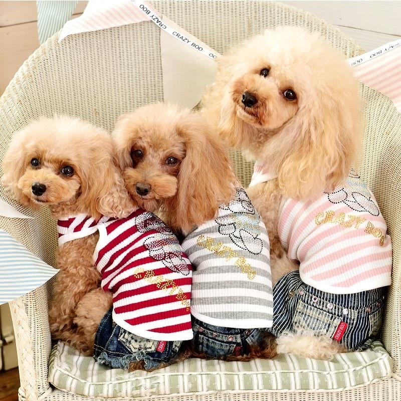 クレイジーブー Crazyboo クマさんストーンタンクトップ Xl Xxl Ds Dm 小型犬 犬服 ウエア トップス タンク セレブ B Tiara Pets Japan 通販 Yahoo ショッピング