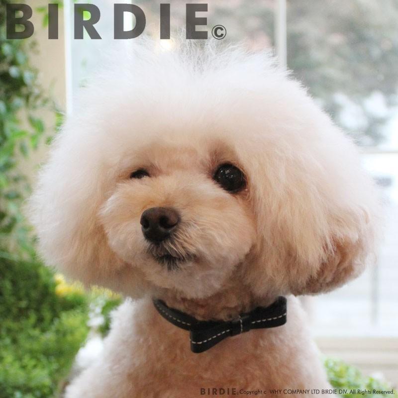 バーディ BIRDIE リボンステッチカラー サイズ25 小型犬 犬用 猫用 ペット 首輪 カラー カジュアル｜tiarapetsjapan｜07