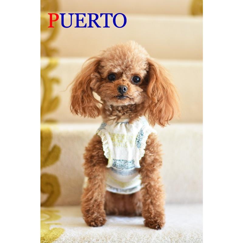プエルト PUERTO イタリーボーダーガーデンエプロン ロープあり 3h 4 小型犬 犬服 ウエア トップス Tシャツ カットソー セレブ 送料無料の画像