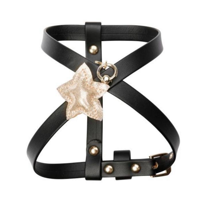 日本産 シャーロットドレス Charlotte S Dress Harness Little Star Art G1491 小型犬 犬用 ハーネス 胴輪 セレブ 激安の Studiostodulky Cz