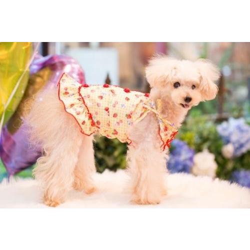 30 Off ブルブブ Bul Bu Bu Check Fruits Camisole Sss Ss Ssl S 犬服 小型犬 セレブ ウエア トップス キャミ 10 送料無料 B Tiara Pets Japan 通販 Yahoo ショッピング