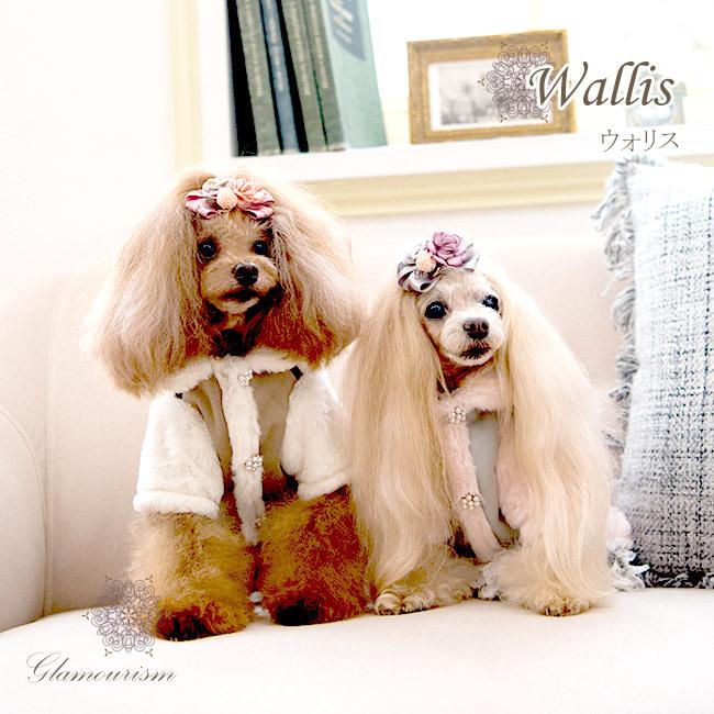 グラマーイズム Glamourism ウォリス Wallis 小型犬 犬服 ウエア コート アウター 上着 セレブ 送料無料 23395