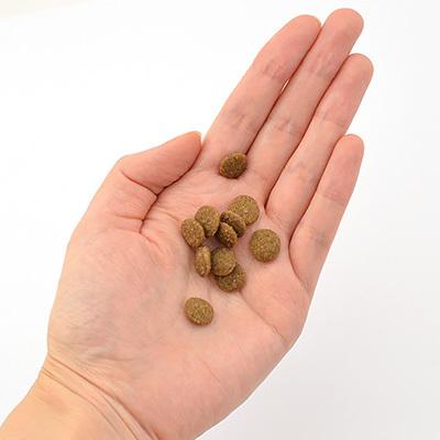 キアオラ Kia Ora ドッグ ラム＆レバー 4.5kg 犬 全年齢対応ドライフード グレインフリー 肉 ドッグフード ごはん 送料無料の画像