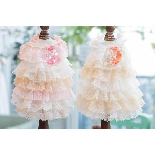 送料無料 予約商品 5月末入荷 ブルブブ Bul Bu Bu Classicalミックスレースo P Xxs Xs 小型犬 犬服 ウエア スカート ワンピース ドレス セレブ 激安ブランド Zoetalentsolutions Com