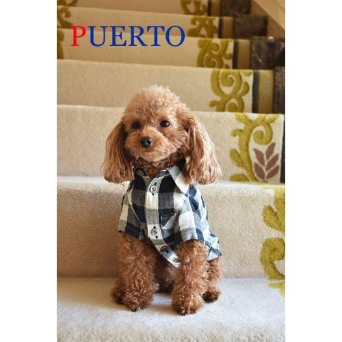 プエルト PUERTO ギンガムガーゼ半袖シャツ 3h/4 小型犬 犬服 ウエア トップス シャツ セレブ 送料無料の画像