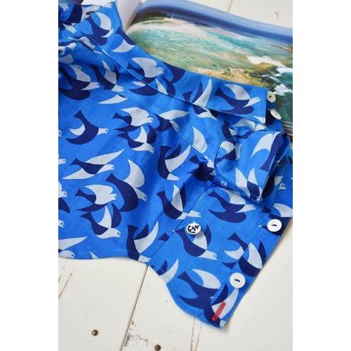 プエルト PUERTO 青の鳥 半袖シャツ 3h/4 小型犬 犬服 ウエア トップス シャツ セレブ 送料無料の画像
