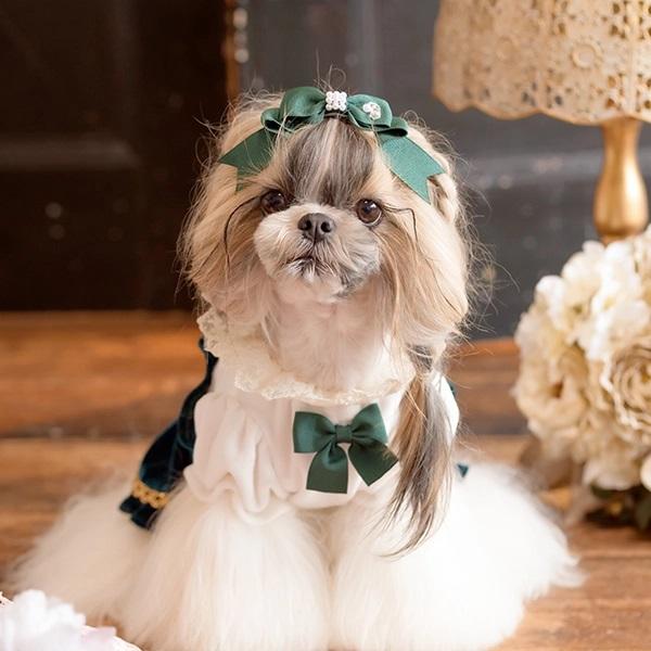 きゃんナナ CanNana 姫リボン LB-166 小型犬 アクセサリー バレッタ