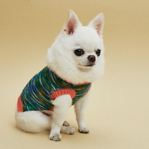 ルイスドッグ louisdog Genius Sweater Vest/V neck 小型犬 犬服 ウエア トップス ニット セーター ベスト セレブ 送料無料の画像