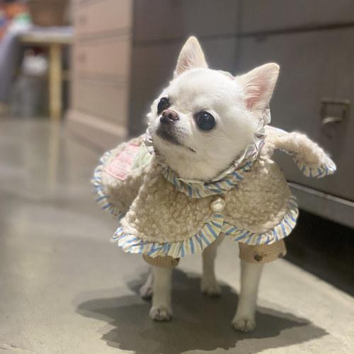 Louisdog ルイスドッグ ダウン ケープ コート