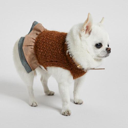 ルイスドッグ louisdog DELFI Crop Knitted Dress ブリック 小型犬 犬服 ウエア ワンピース ドレス セレブ