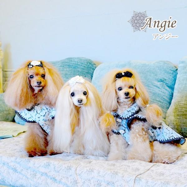 グラマーイズム Glamourism アンジー Angie 小型犬 犬服 ウエア