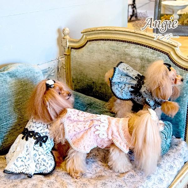 グラマーイズム アンジー Mサイズ ワンピース お嬢様 ワンピ グラマーイズム Glamourism アンジー Angie 小型犬 犬服 ウエア